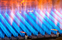 Uppacott gas fired boilers